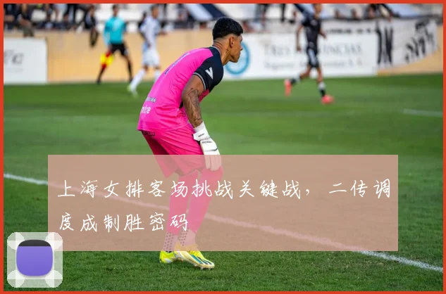 上海女排客场挑战关键战，二传调度成制胜密码
